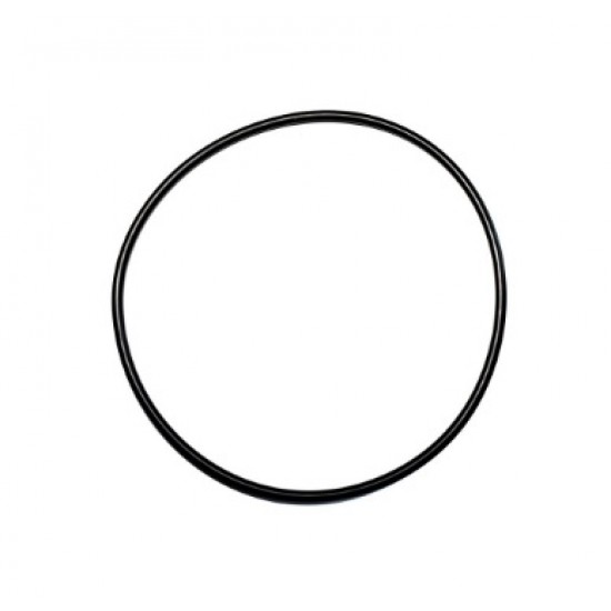 8" Waterco Lacron Filter Lid O-Ring