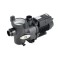 Zodiac FloPro 100M Pump