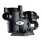 Zodiac FloPro 100 VS Pump