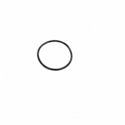 Starite 5P2R Pump Lid O-Ring