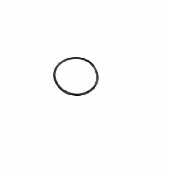 Starite 5P2R Pump Lid O-Ring