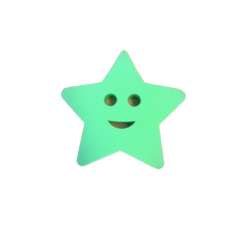 Mini Animal Float Starfish Shaped
